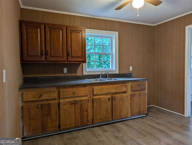 kitchen featuring wood walls, light hardwood / wood-style floors, ornamental molding, and sink