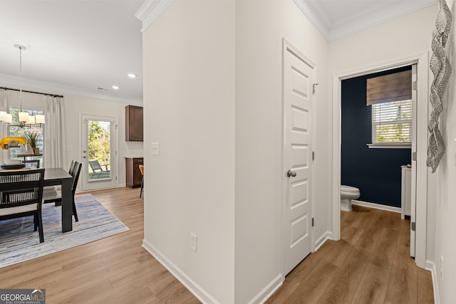 hall with light wood-type flooring, an inviting chandelier, a wealth of natural light, and ornamental molding