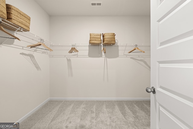 spacious closet with light colored carpet