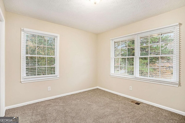 empty room with carpet flooring and a textured ceiling