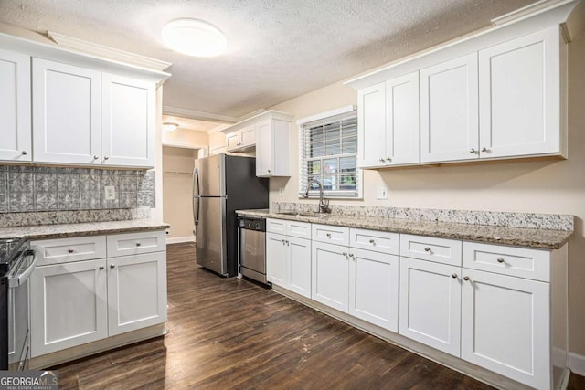 kitchen with white cabinetry, sink, light stone countertops, dark hardwood / wood-style floors, and appliances with stainless steel finishes