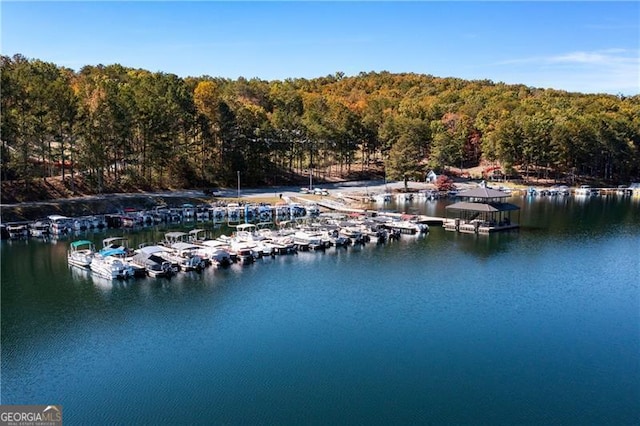 view of water feature with a dock