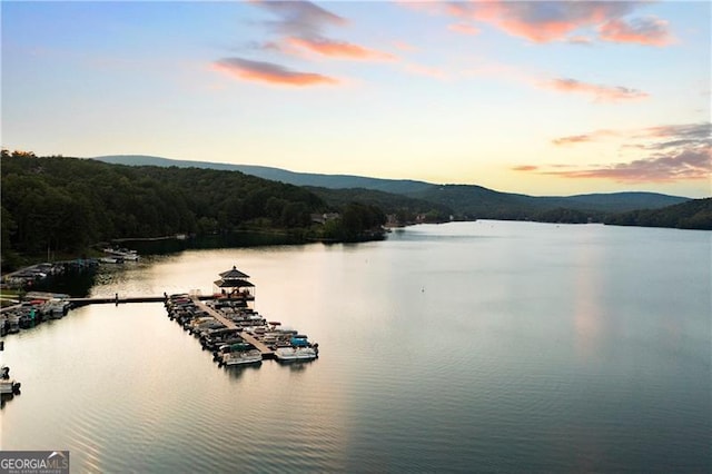 property view of water featuring a mountain view