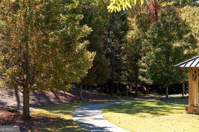 view of property's community featuring a yard