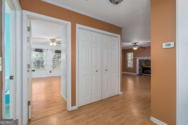 corridor featuring crown molding and light wood-type flooring