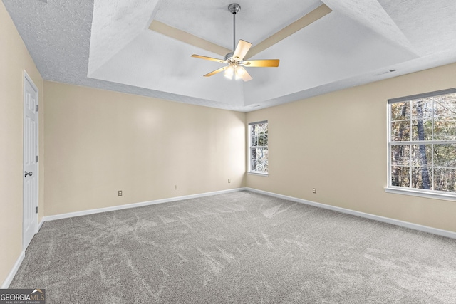 spare room with a textured ceiling, carpet, and a tray ceiling