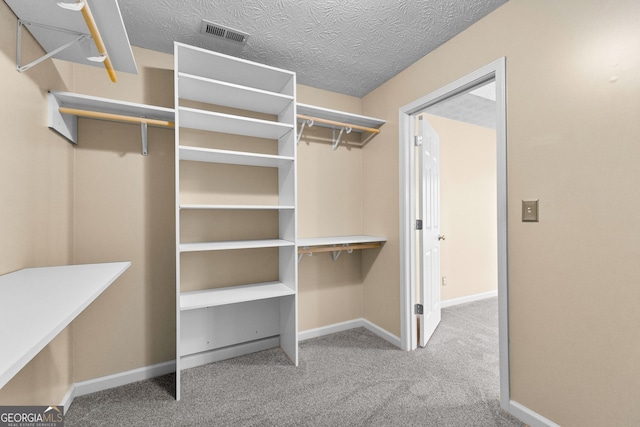 spacious closet featuring carpet flooring