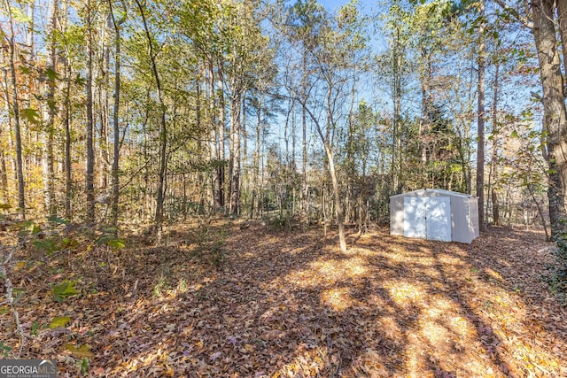 view of yard with a storage shed