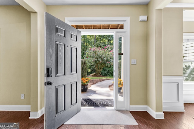 foyer entrance with a healthy amount of sunlight and dark wood-type flooring