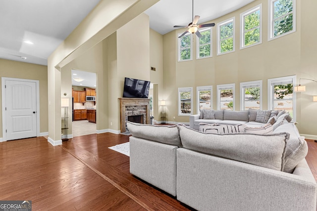 living room featuring a fireplace, hardwood / wood-style floors, and plenty of natural light