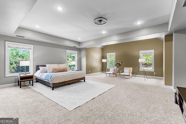 carpeted bedroom with multiple windows