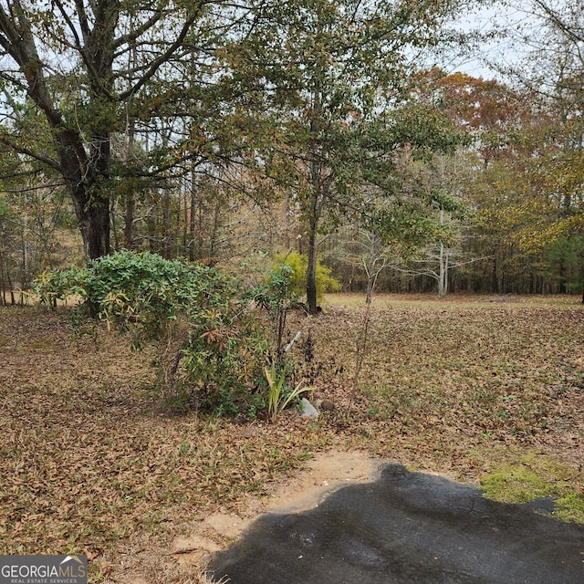 240 Chambers Rd, Mcdonough, GA 30253 - view of yard featuring a forest view