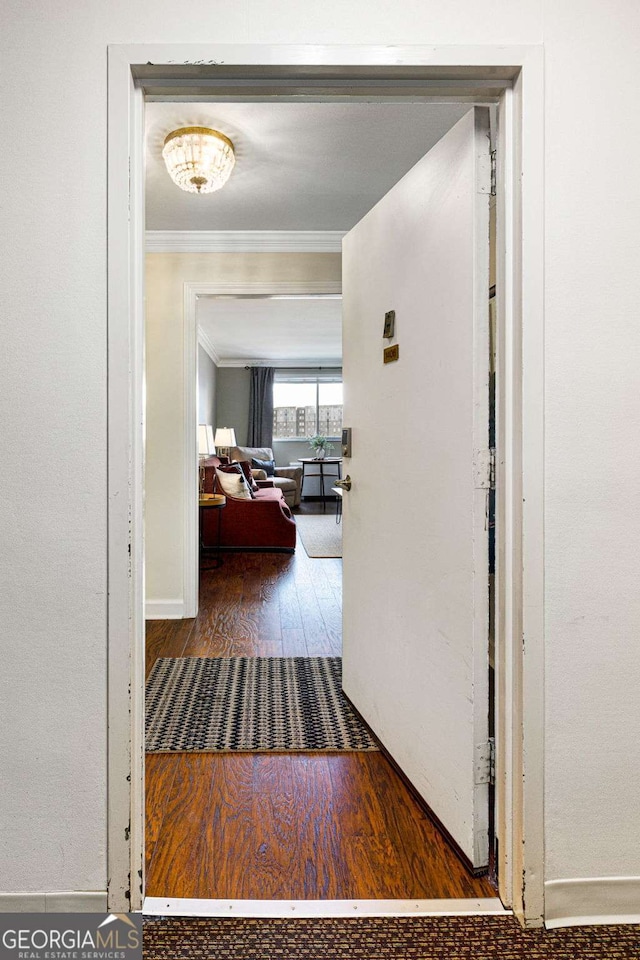 corridor featuring crown molding and dark wood-type flooring