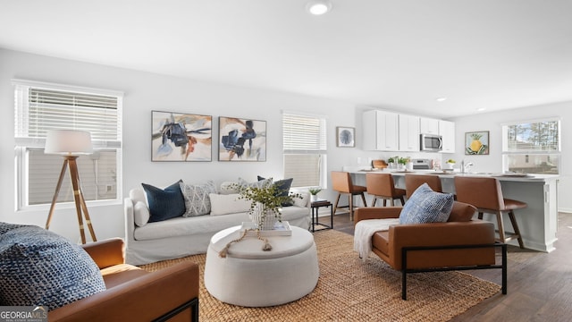 living room with hardwood / wood-style flooring