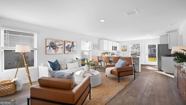 living room featuring sink and dark hardwood / wood-style floors