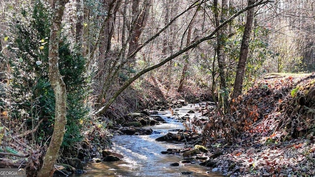 view of local wilderness