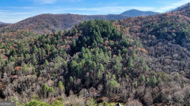 view of mountain feature