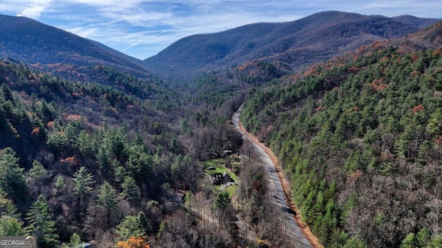 property view of mountains