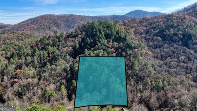 bird's eye view with a mountain view