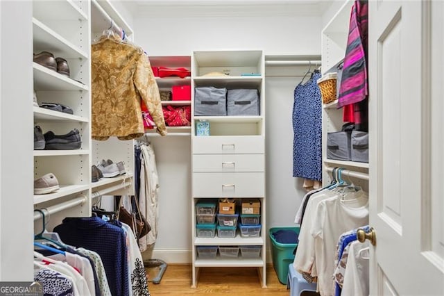 walk in closet with hardwood / wood-style flooring