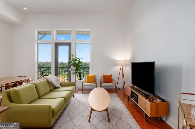 living room featuring light hardwood / wood-style flooring