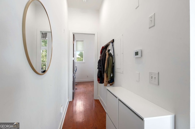 corridor with dark hardwood / wood-style flooring