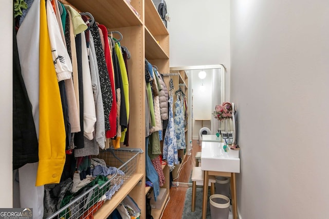 walk in closet with hardwood / wood-style flooring