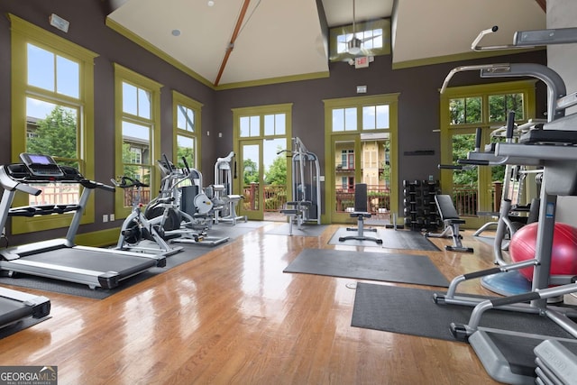 exercise room featuring plenty of natural light, high vaulted ceiling, and hardwood / wood-style floors