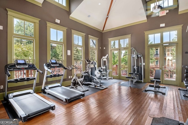 gym with plenty of natural light, wood-type flooring, and high vaulted ceiling