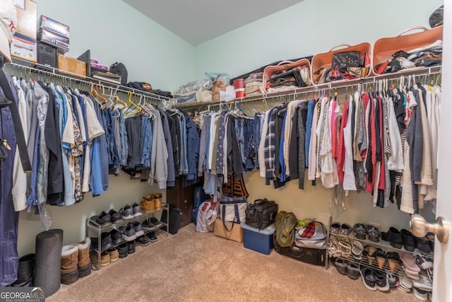 walk in closet with carpet floors