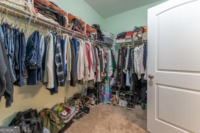 spacious closet featuring carpet flooring