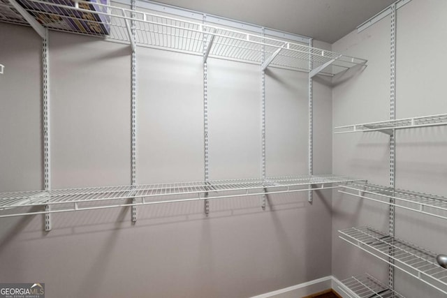 view of spacious closet