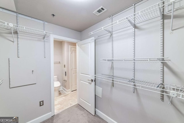 walk in closet with light colored carpet