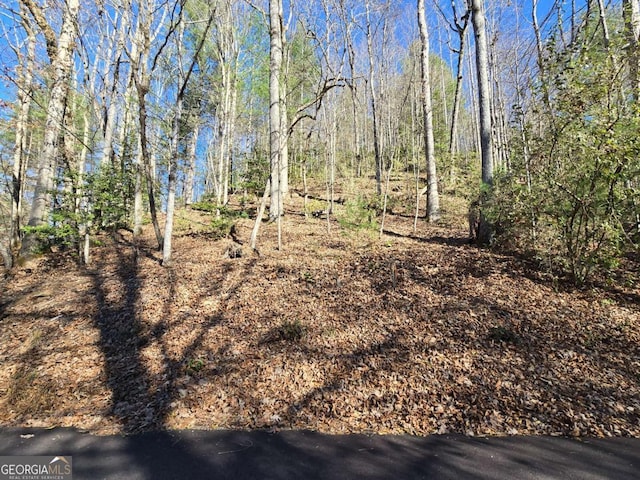 Listing photo 3 for LOT67 Hi Ridge Rd Unit 67, Hiawassee GA 30546