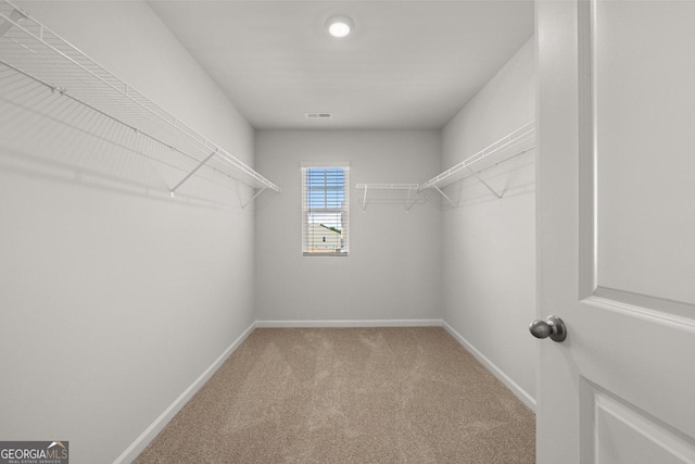 walk in closet featuring carpet flooring