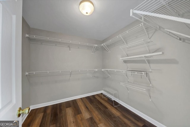 spacious closet with dark wood-type flooring