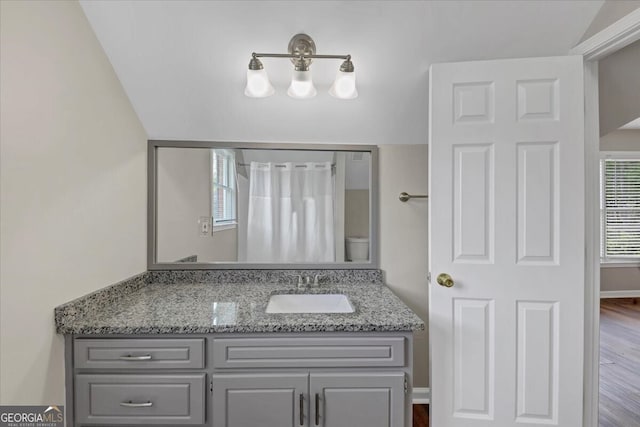 bathroom with hardwood / wood-style flooring, vanity, toilet, and vaulted ceiling