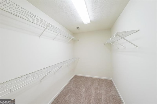 walk in closet featuring light colored carpet