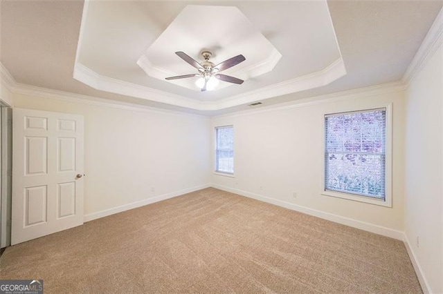 spare room featuring light colored carpet, a raised ceiling, and ornamental molding