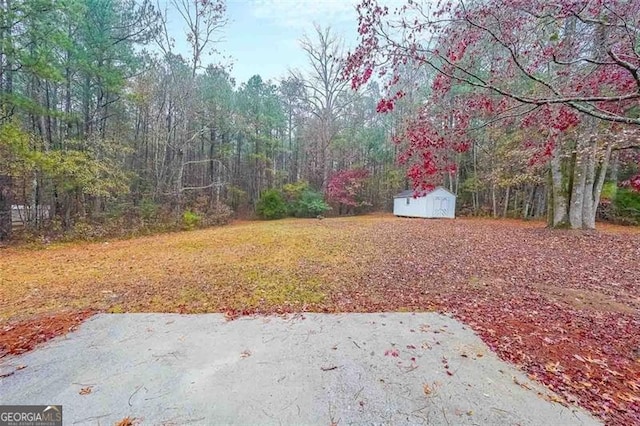 view of yard featuring a patio area and a storage shed