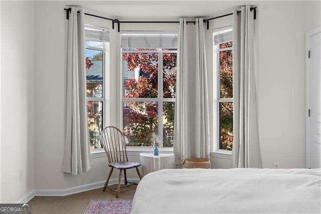 bedroom featuring carpet flooring