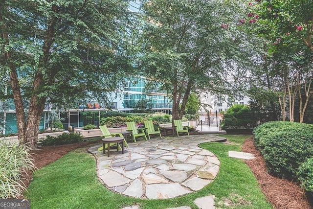 view of yard with a patio