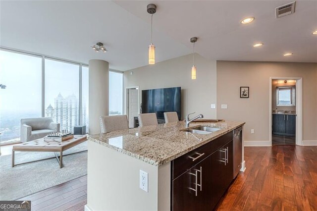 kitchen with plenty of natural light, stainless steel dishwasher, dark hardwood / wood-style floors, and sink