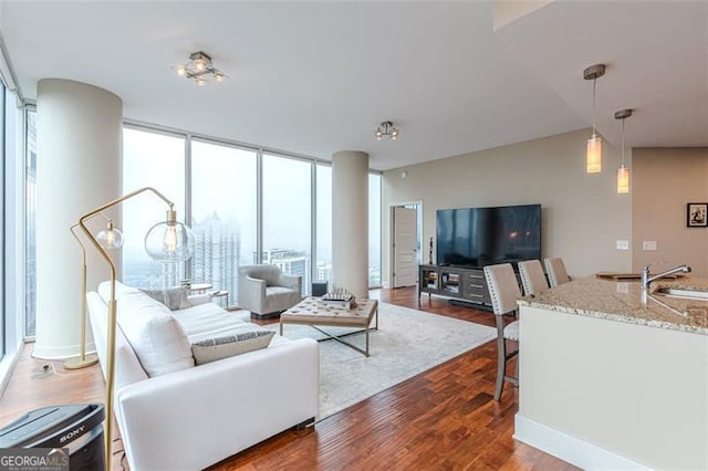 living room with dark hardwood / wood-style flooring, floor to ceiling windows, and sink