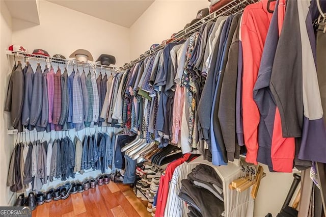 spacious closet with hardwood / wood-style flooring