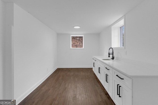 interior space featuring dark hardwood / wood-style flooring and sink