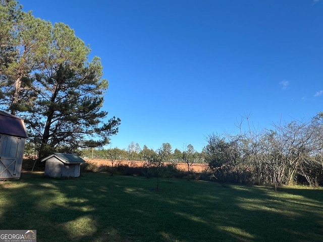 view of yard with a shed