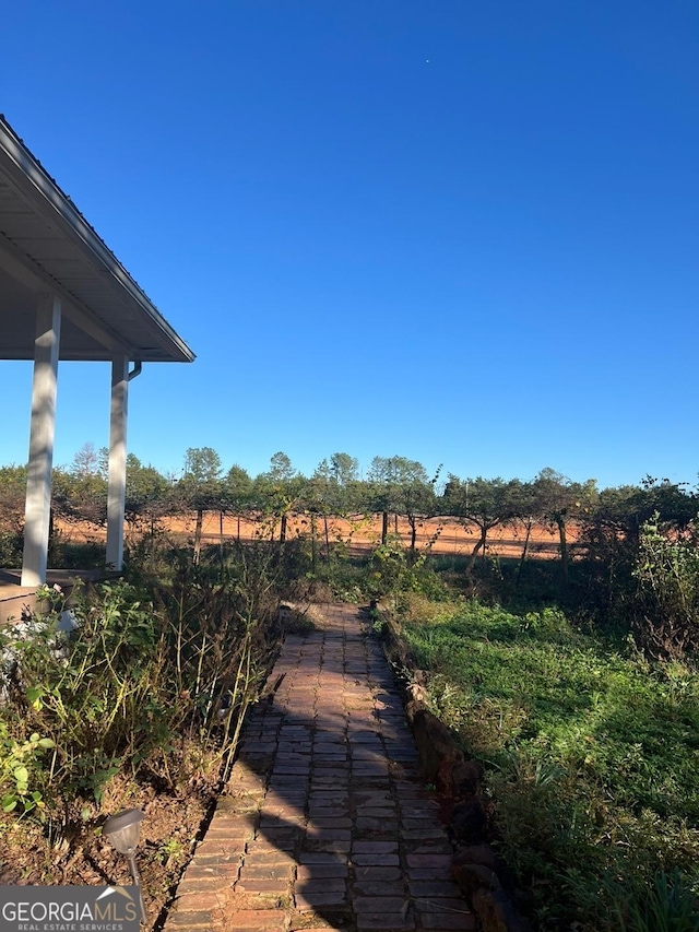 view of yard with a rural view