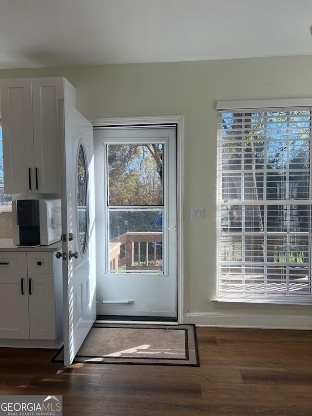 doorway featuring dark wood-type flooring and a wealth of natural light