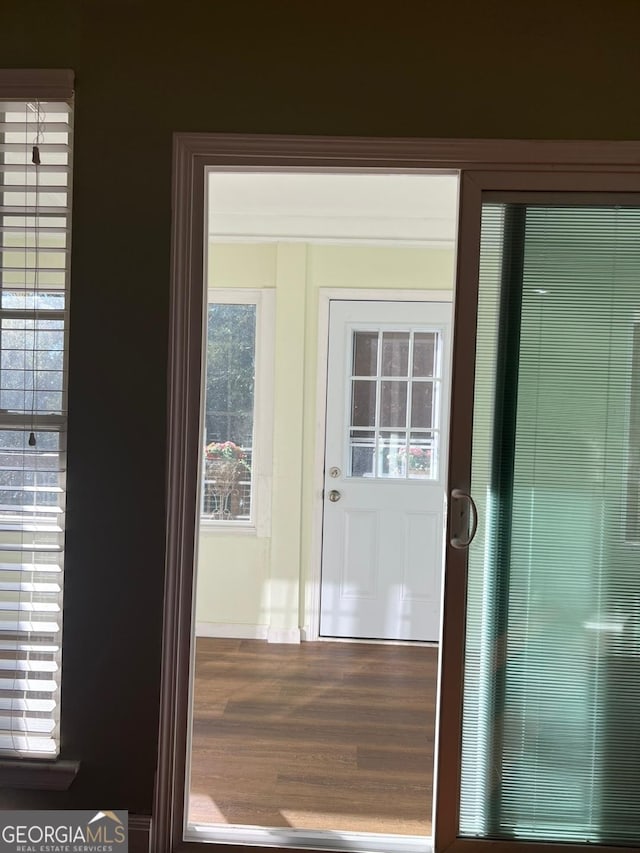 entryway with hardwood / wood-style flooring